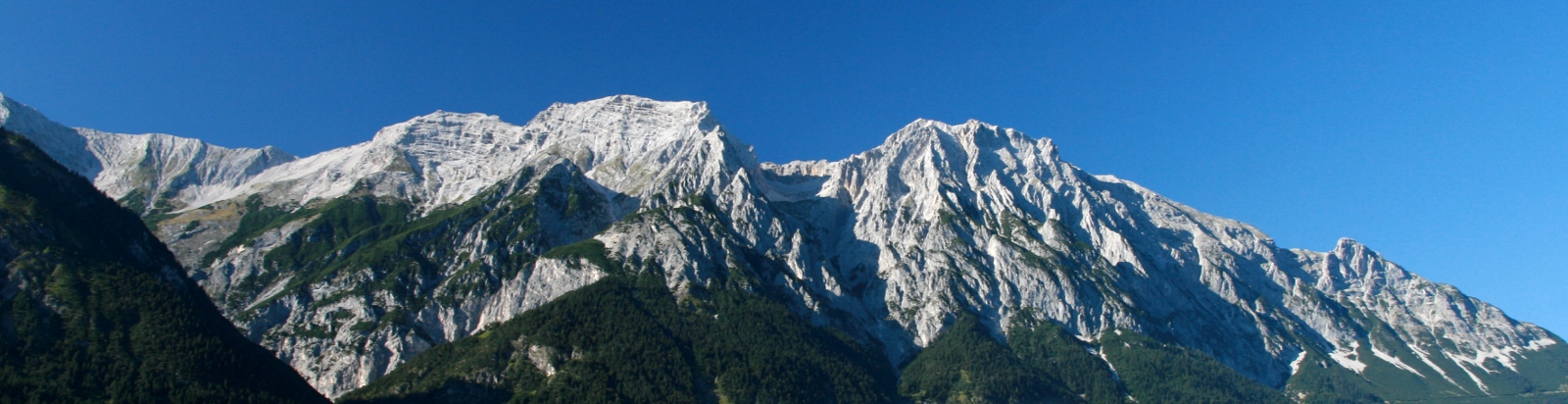 Bettelwurf